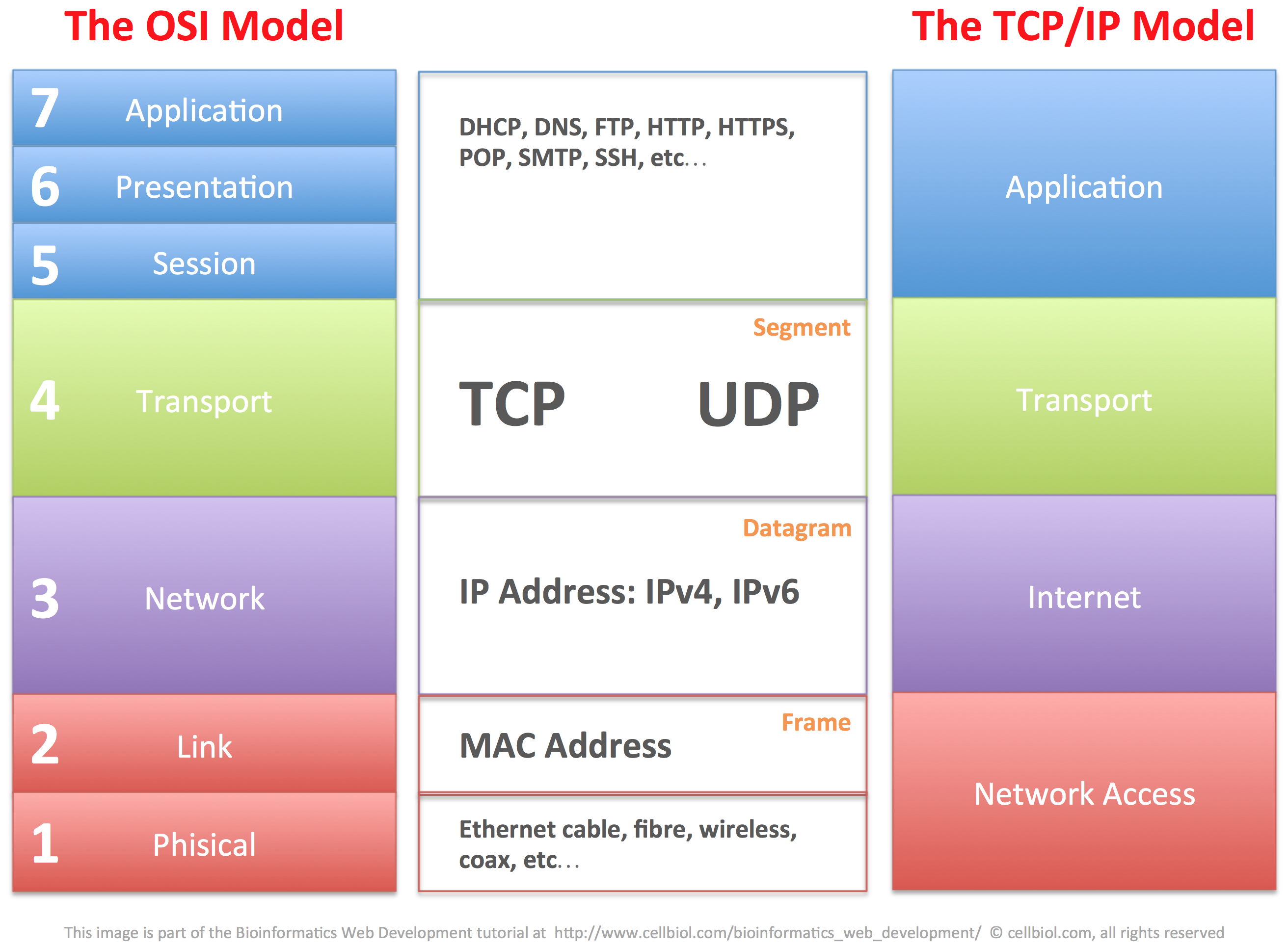 1.6 TCP/IP TCP Server